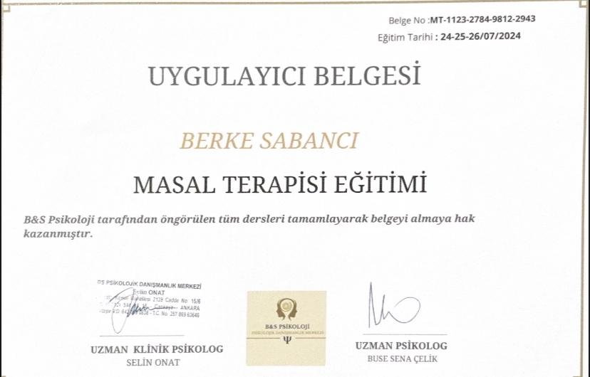 Berke Sabancı