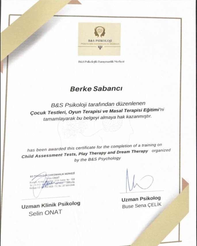 Berke Sabancı