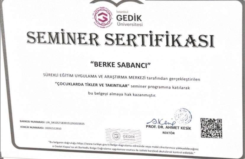 Berke Sabancı