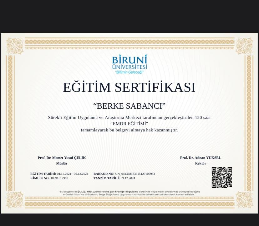 Berke Sabancı