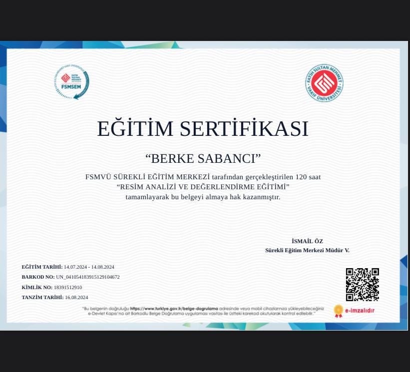 Berke Sabancı