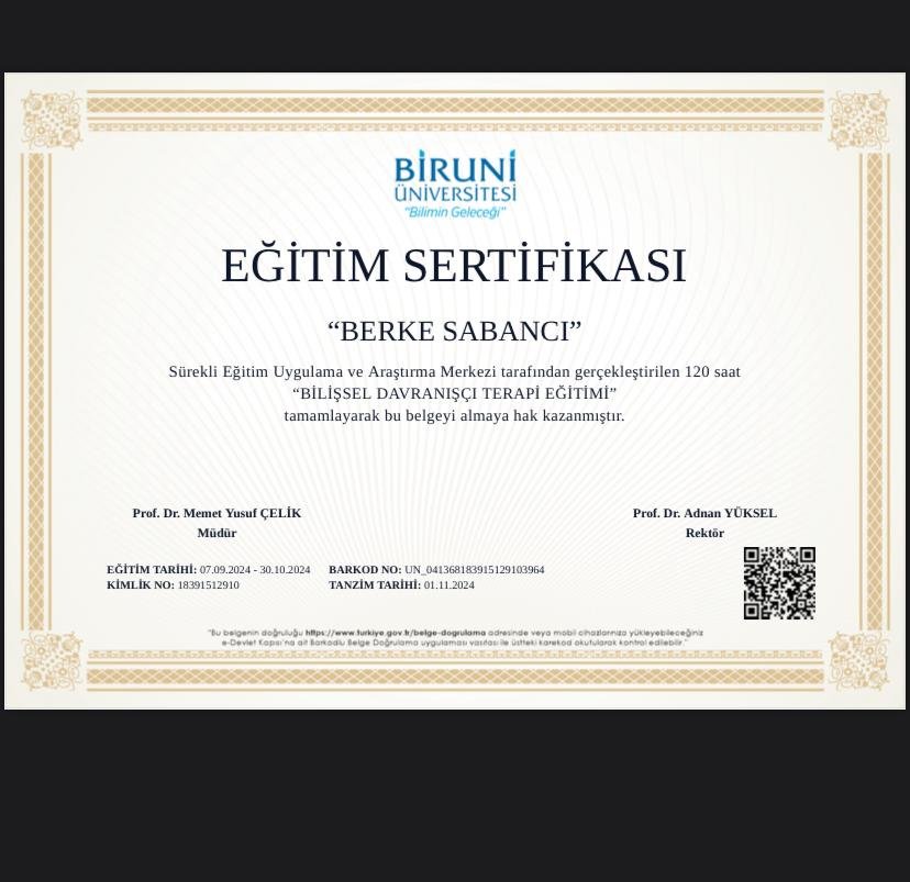 Berke Sabancı