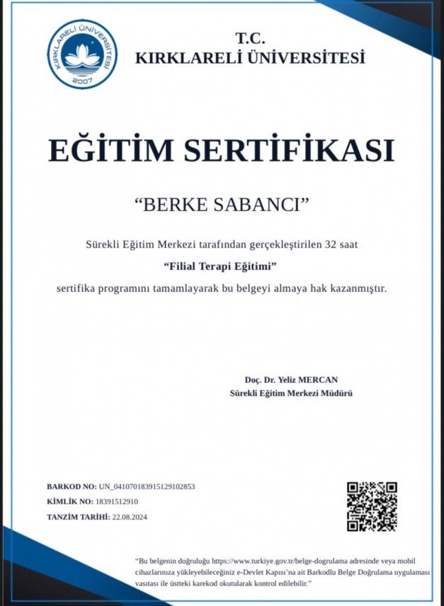 Berke Sabancı