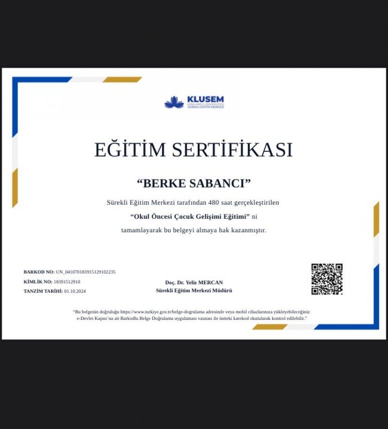 Berke Sabancı