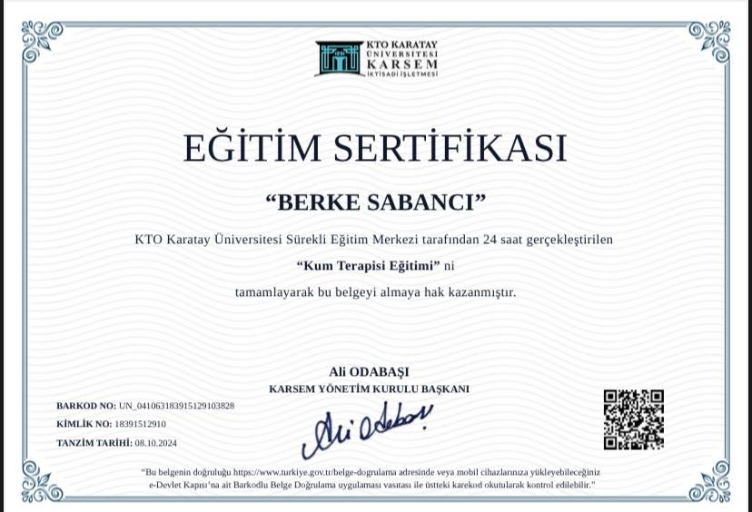 Berke Sabancı
