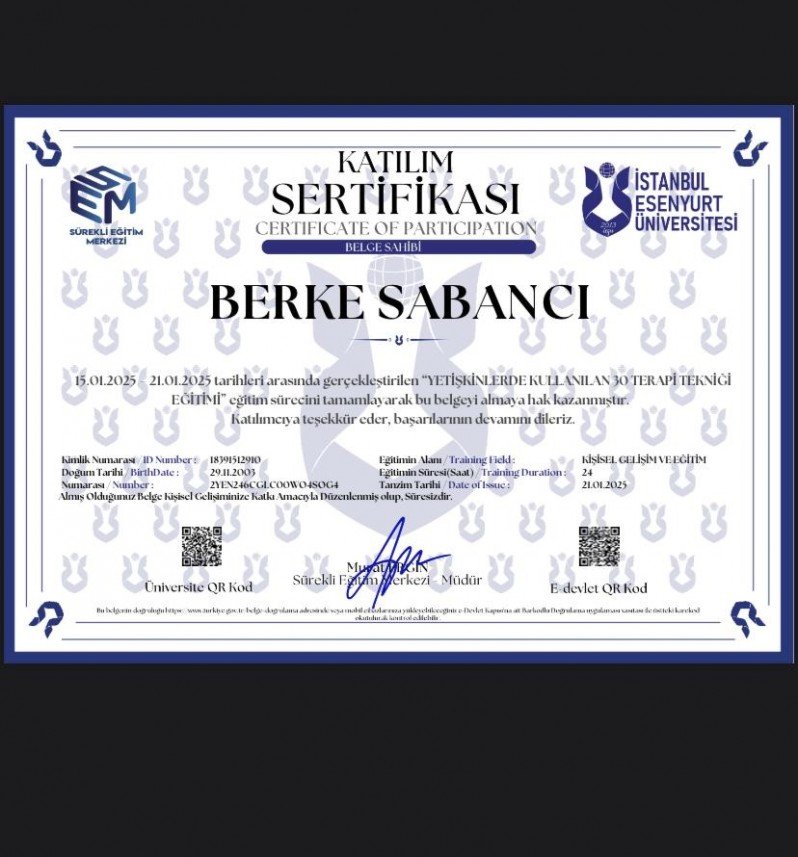 Berke Sabancı