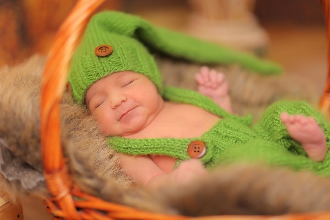 Berlin Bebek Stüdyosu