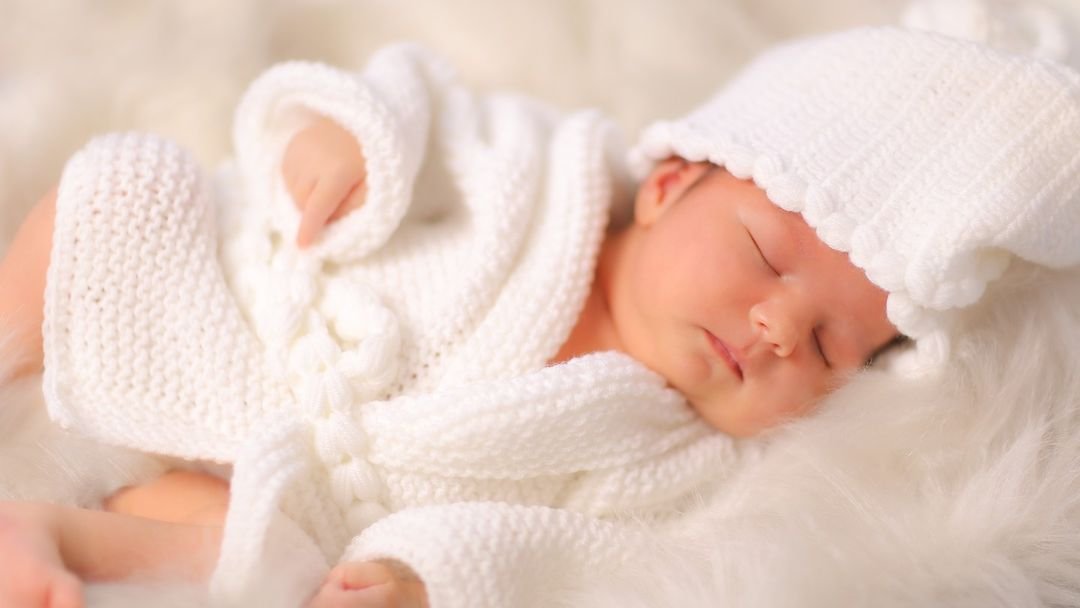 Berlin Bebek Stüdyosu