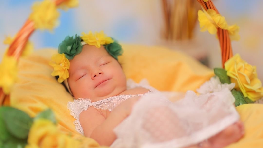 Berlin Bebek Stüdyosu