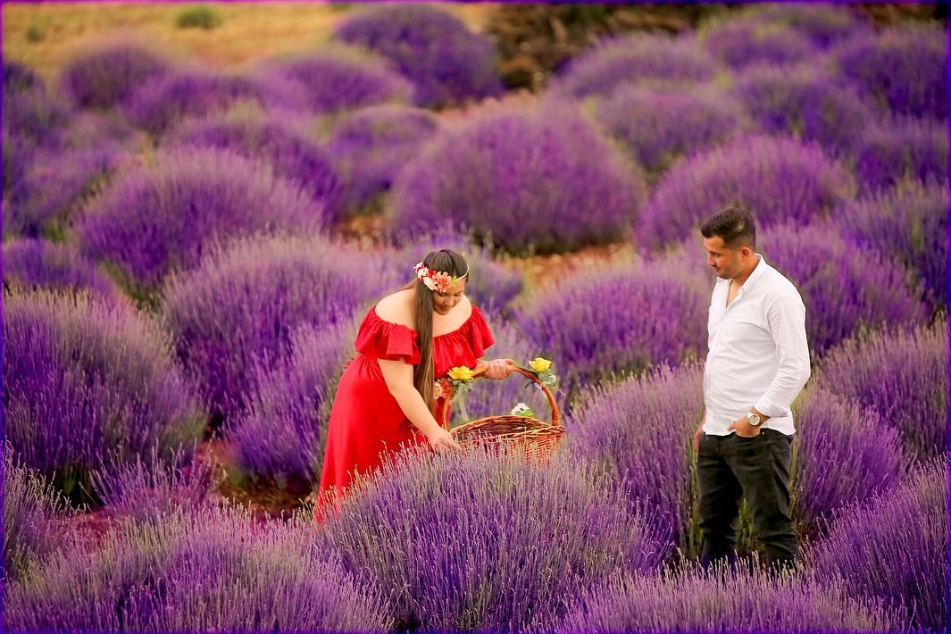 Berlin Bebek Stüdyosu