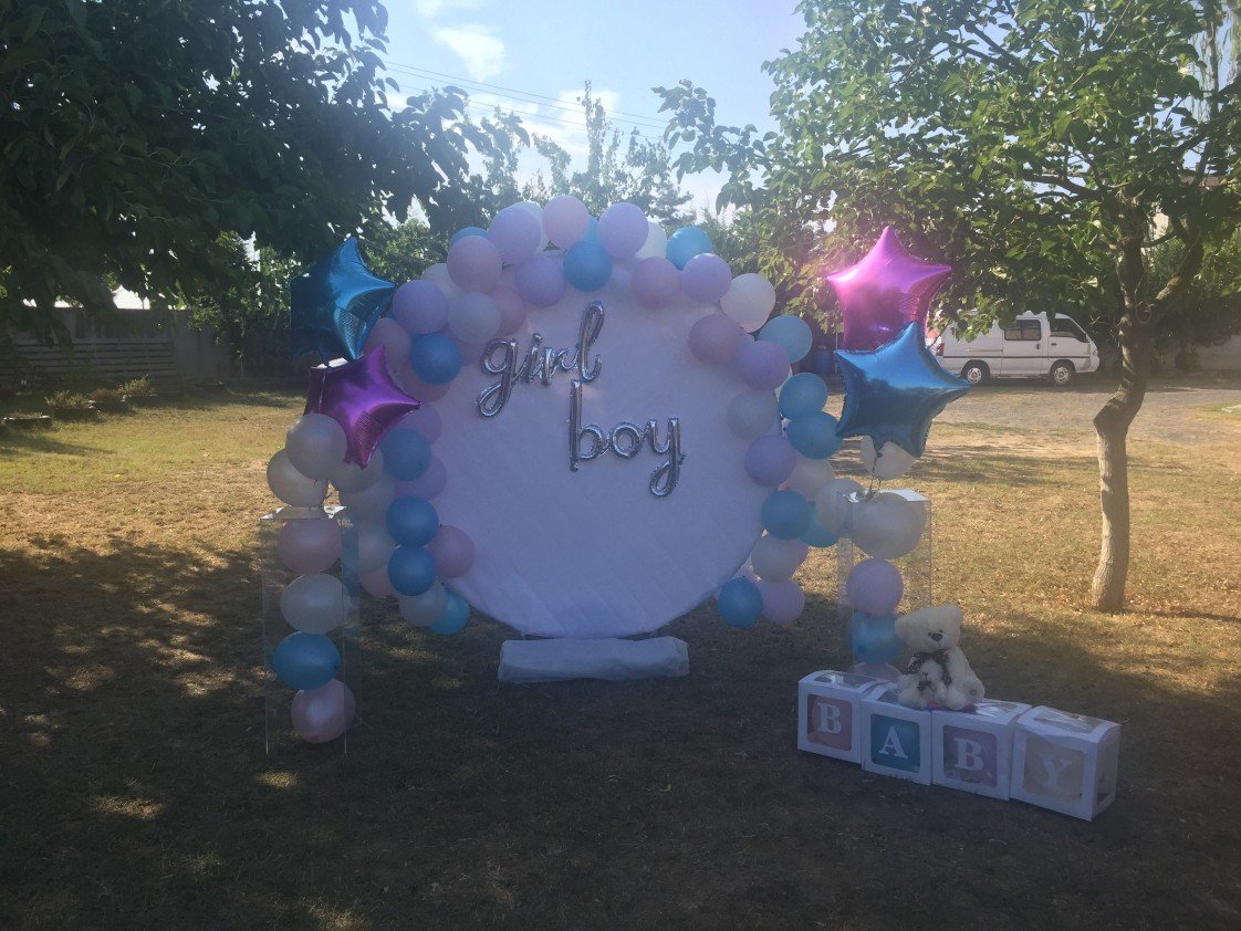 Berna Temel Organizasyon