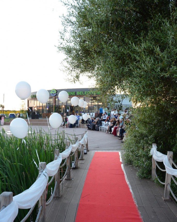 Berna Temel Organizasyon