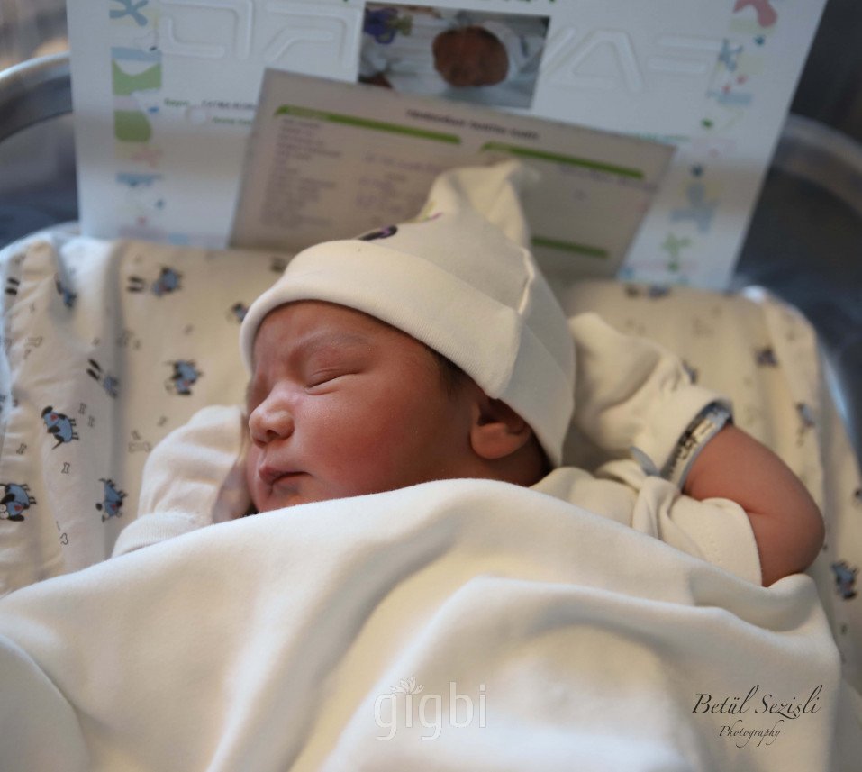 Betül Sezişli Photography