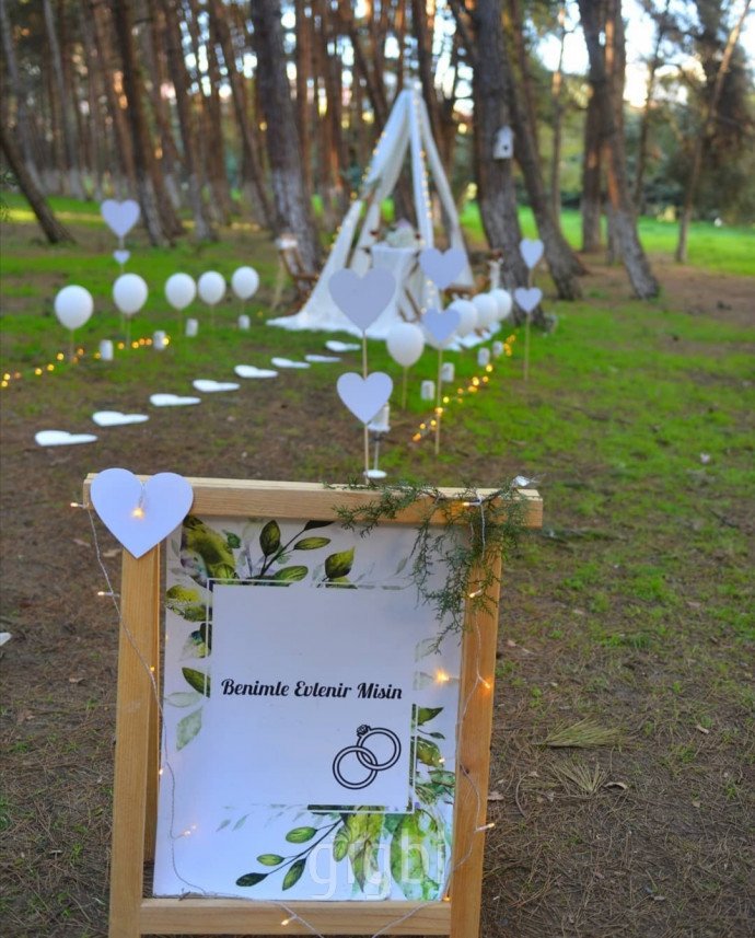 Beyaz Bulut Organizasyon