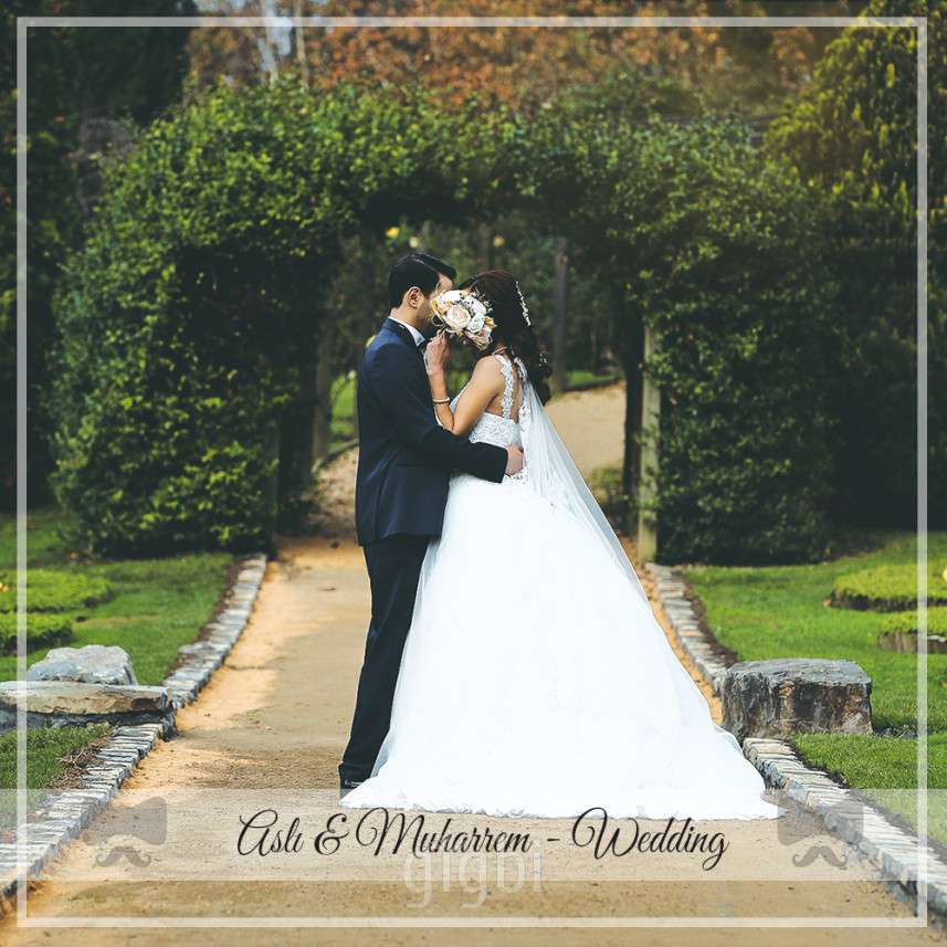 Piküp Medya Danışmanlık