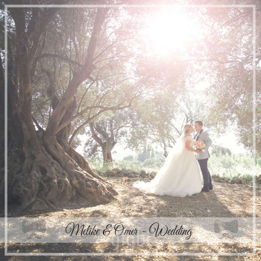 Piküp Medya Danışmanlık