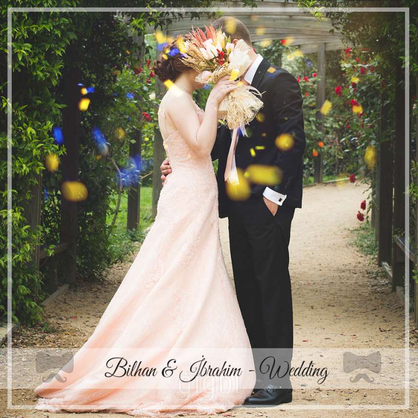 Piküp Medya Danışmanlık