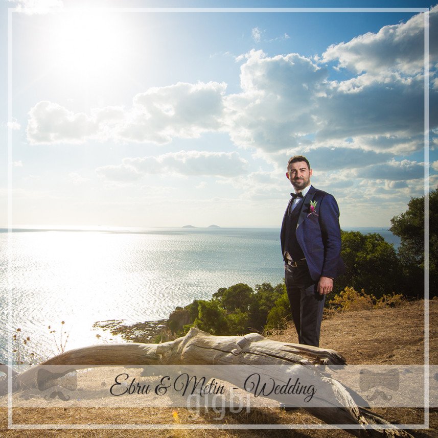 Piküp Medya Danışmanlık