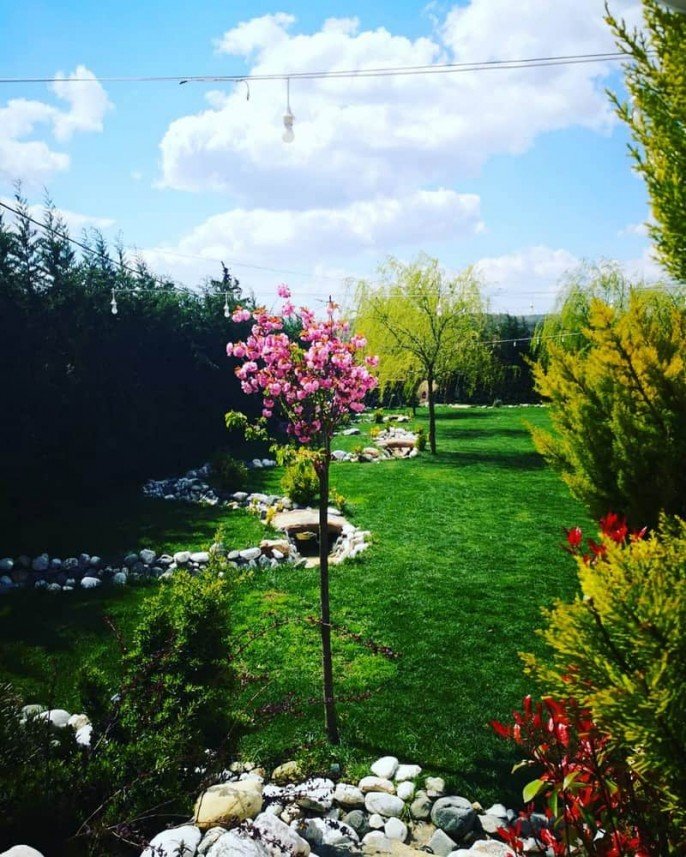 Beyler Garden