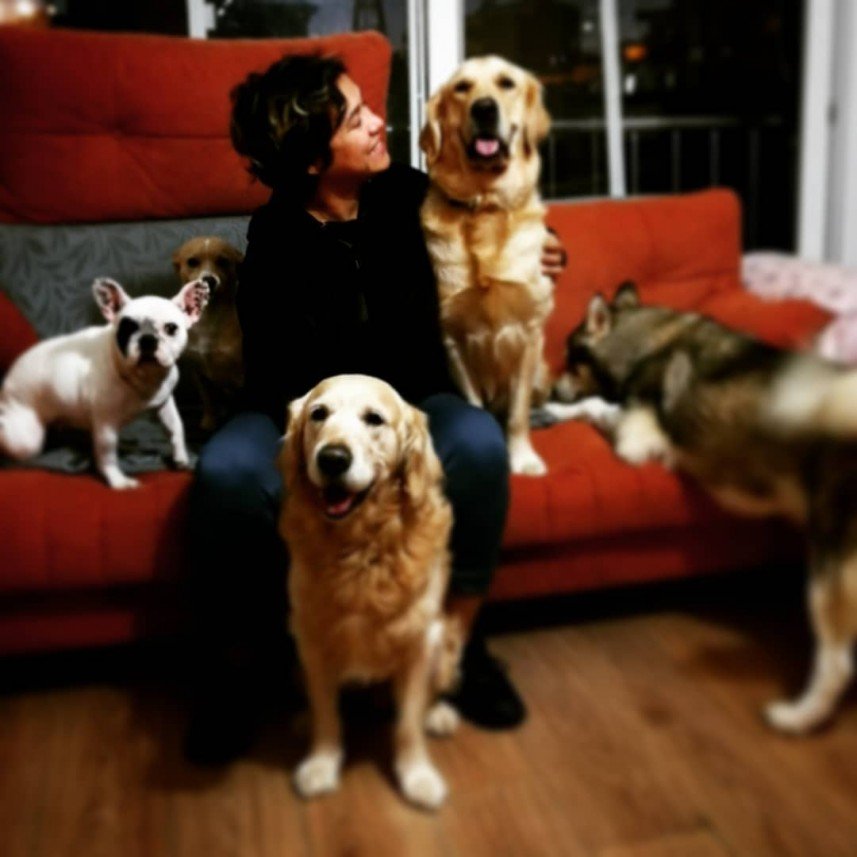 Bize Bırak Kedi Oteli