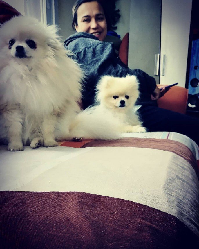 Bize Bırak Kedi Oteli