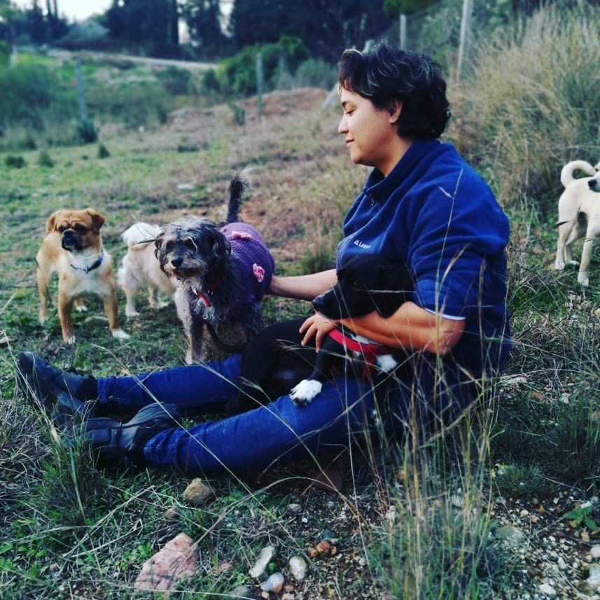 Bize Bırak Kedi Oteli