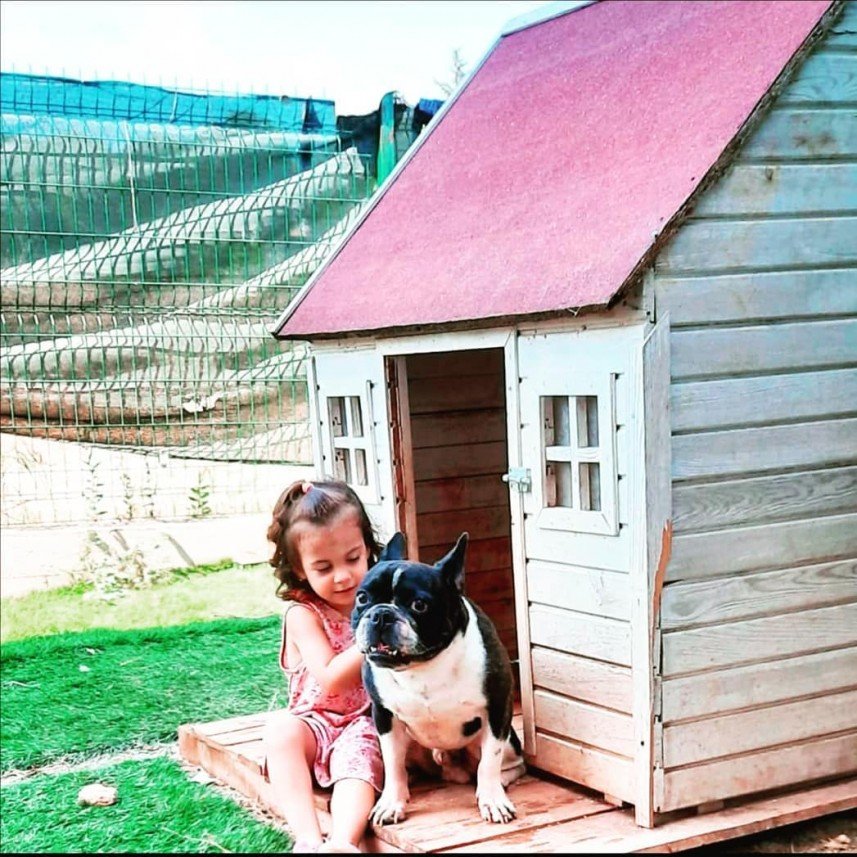 Bize Bırak Kedi Oteli