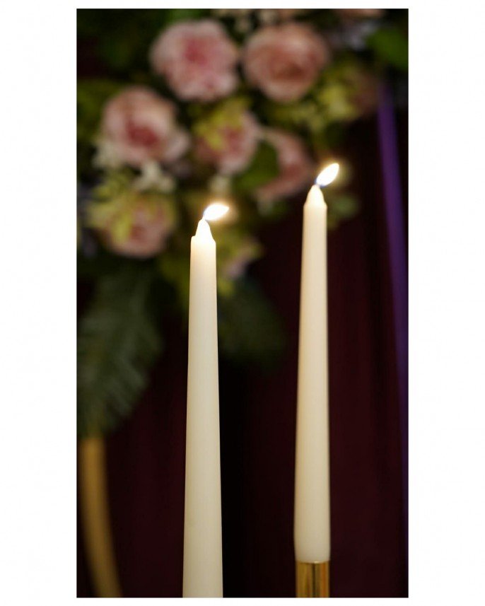 Blueberry Event House