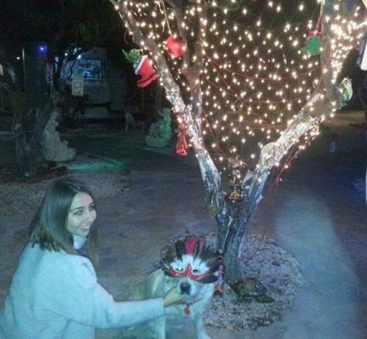 Bodrum Kaju Pet Pansiyon