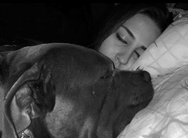 Bodrum Kaju Pet Pansiyon