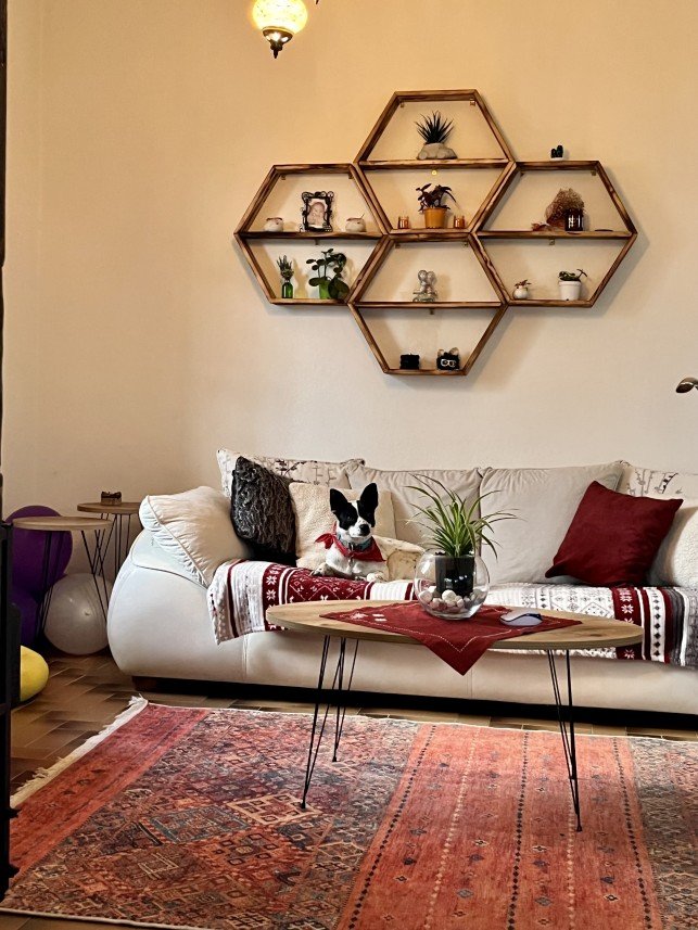 Bodrum Kaju Pet Pansiyon