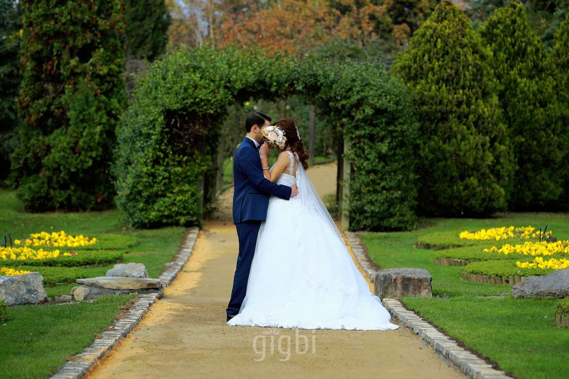 Piküp Medya Danışmanlık