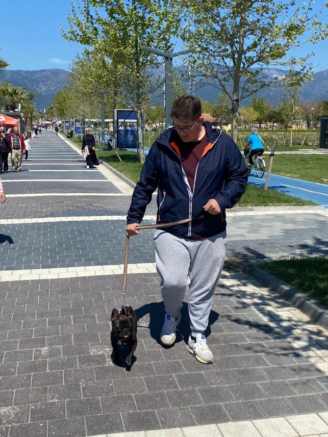 Buddy   Köpek Eğitimi