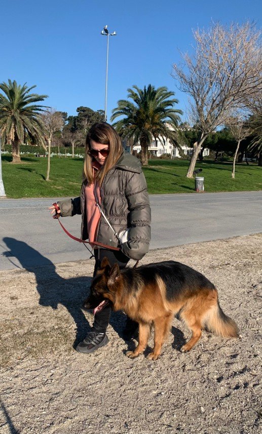 Buddy   Köpek Eğitimi