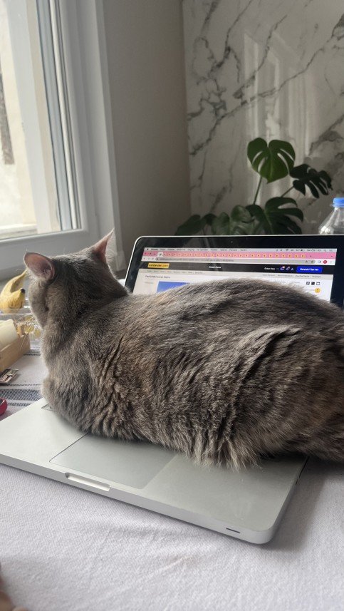 Buket Bacaksızlardan