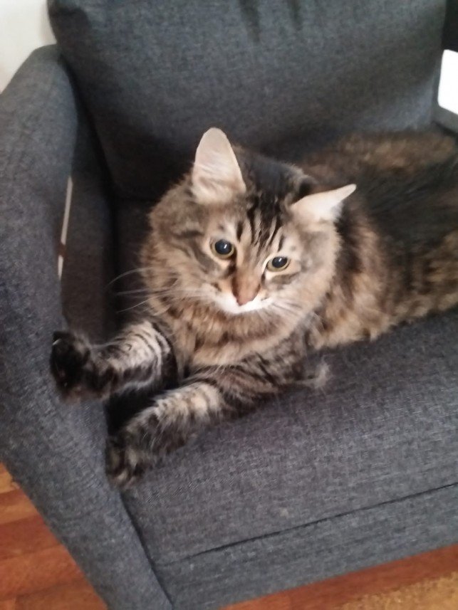 Burcu Atıcı Dursun