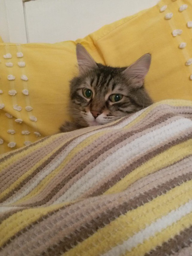 Burcu Atıcı Dursun