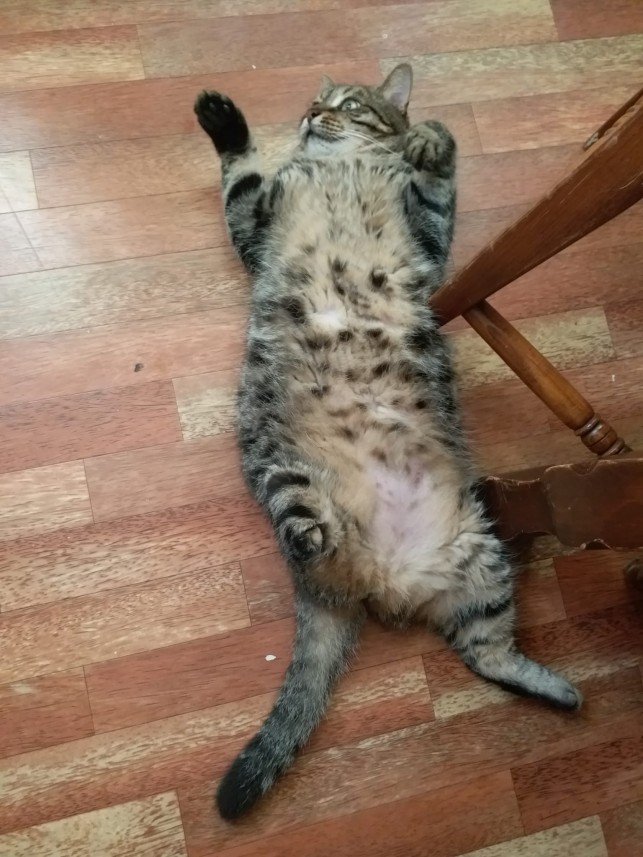 Burcu Atıcı Dursun