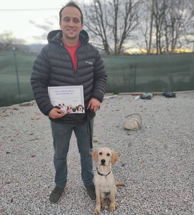 Bursa Köpek Okulu