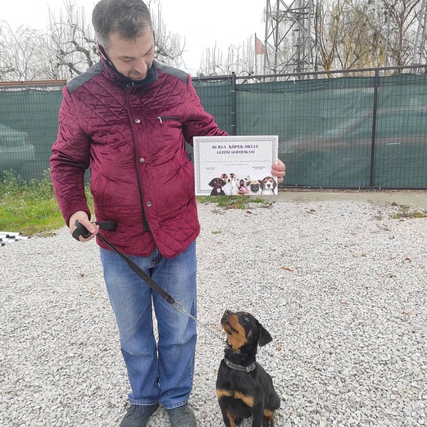Bursa Köpek Okulu