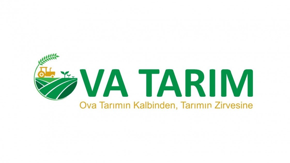 Büşra Aleyna Başeğmez