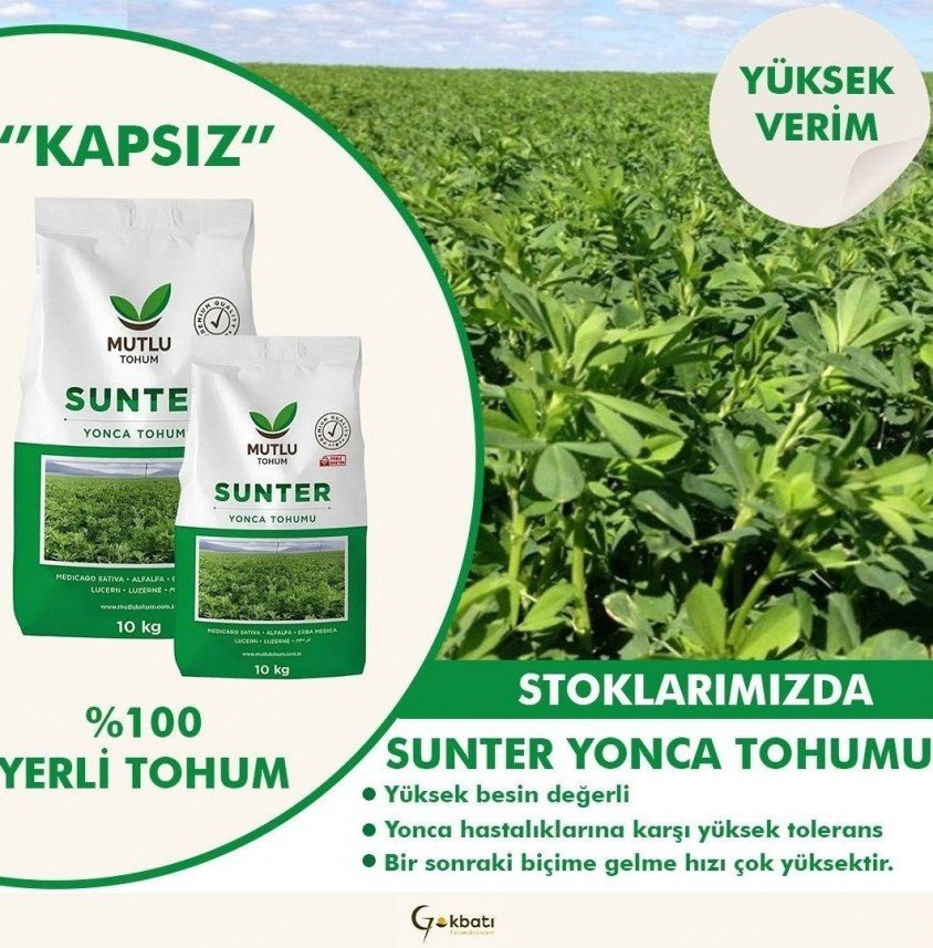 Büşra Aleyna Başeğmez