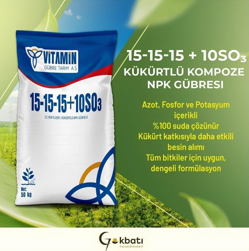 Büşra Aleyna Başeğmez