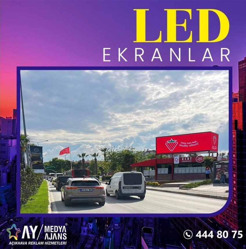 Büşra Aleyna Başeğmez