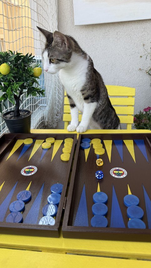 Çağla Ceylan