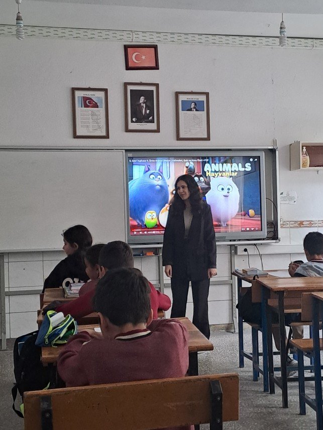 Ceren Şen