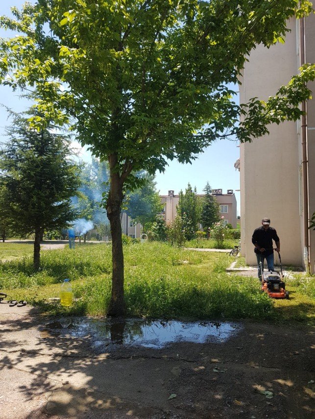 Chakra Temizlik ve Peyzaj 