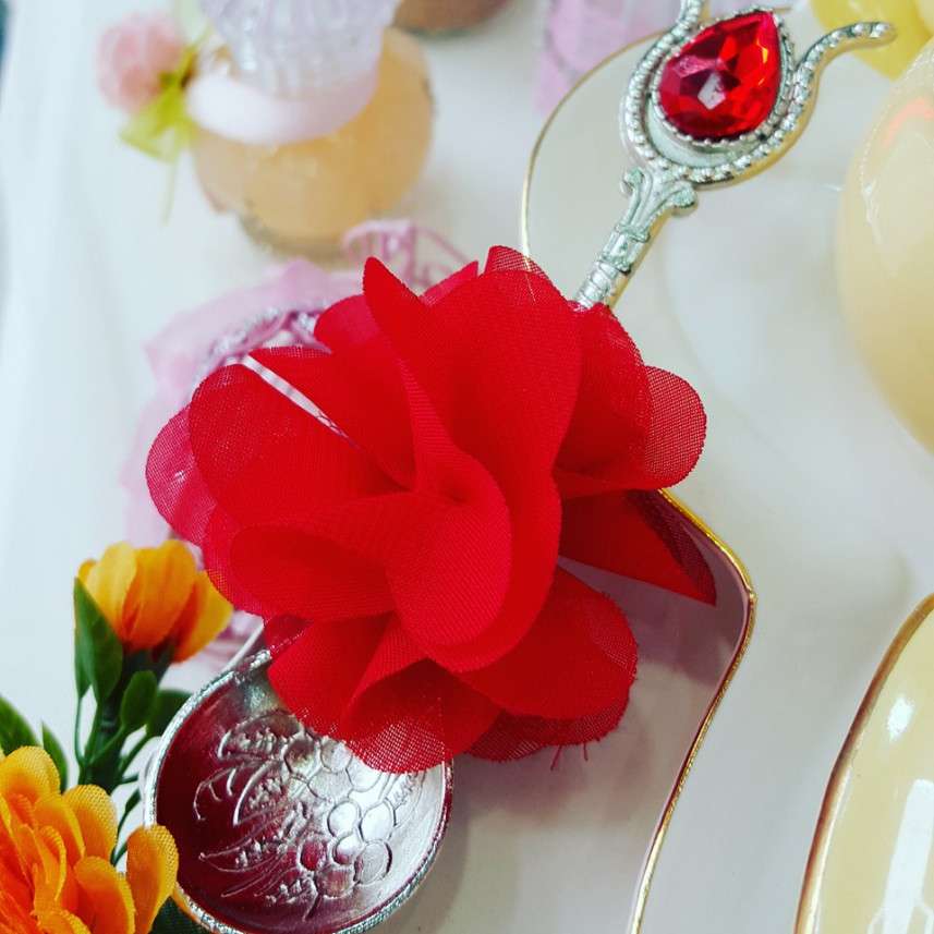 Ciciko Parti Organizasyon