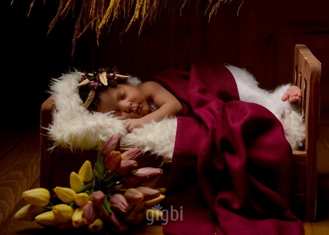 Damla Sarıoğlu Photographer