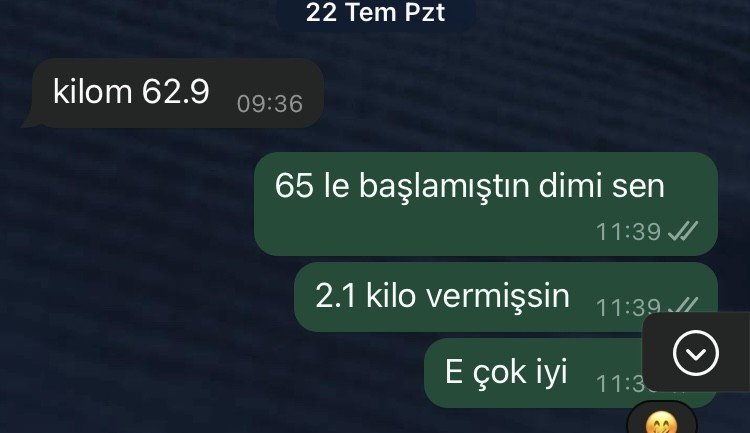 Damlanur Akbulut